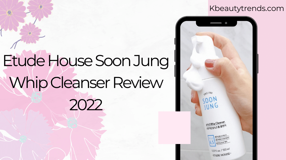Etude House Soon Jung Whip Cleanser Review 2022