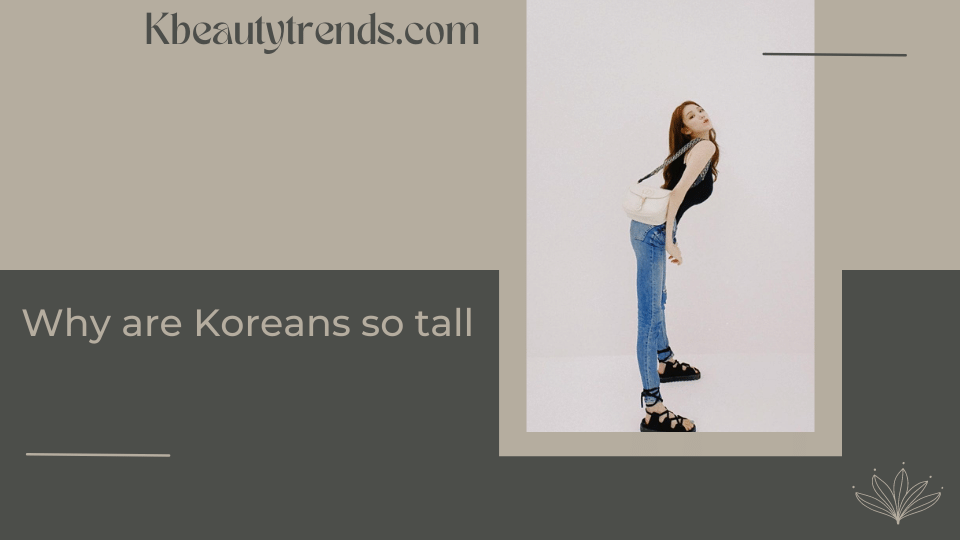 Why are Koreans so tall