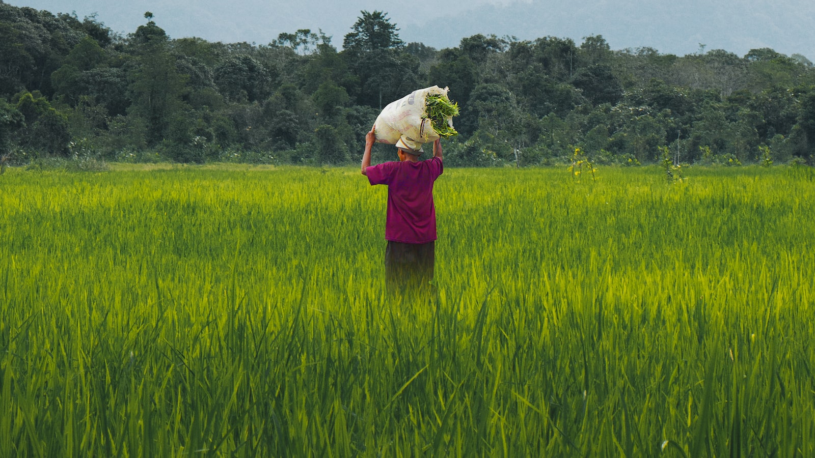 ultimate nourishing rice overnight spa mask